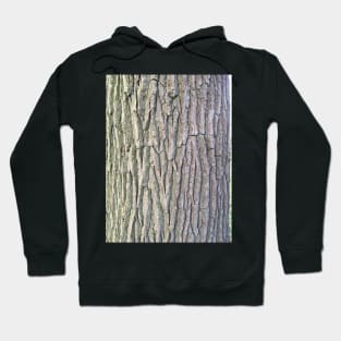 Bark unknown #1 Hoodie